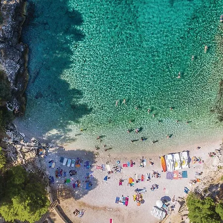 Lovely In Διαμέρισμα *